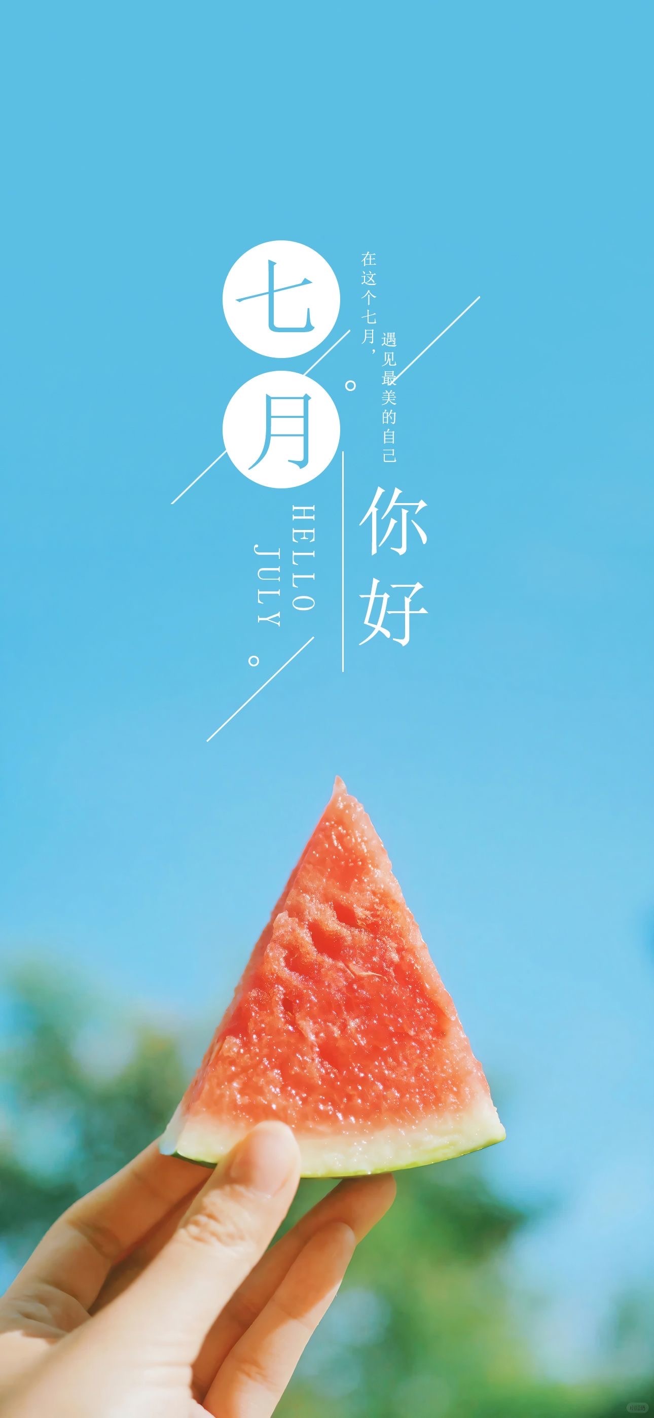 七月壁纸 依旧顺利 