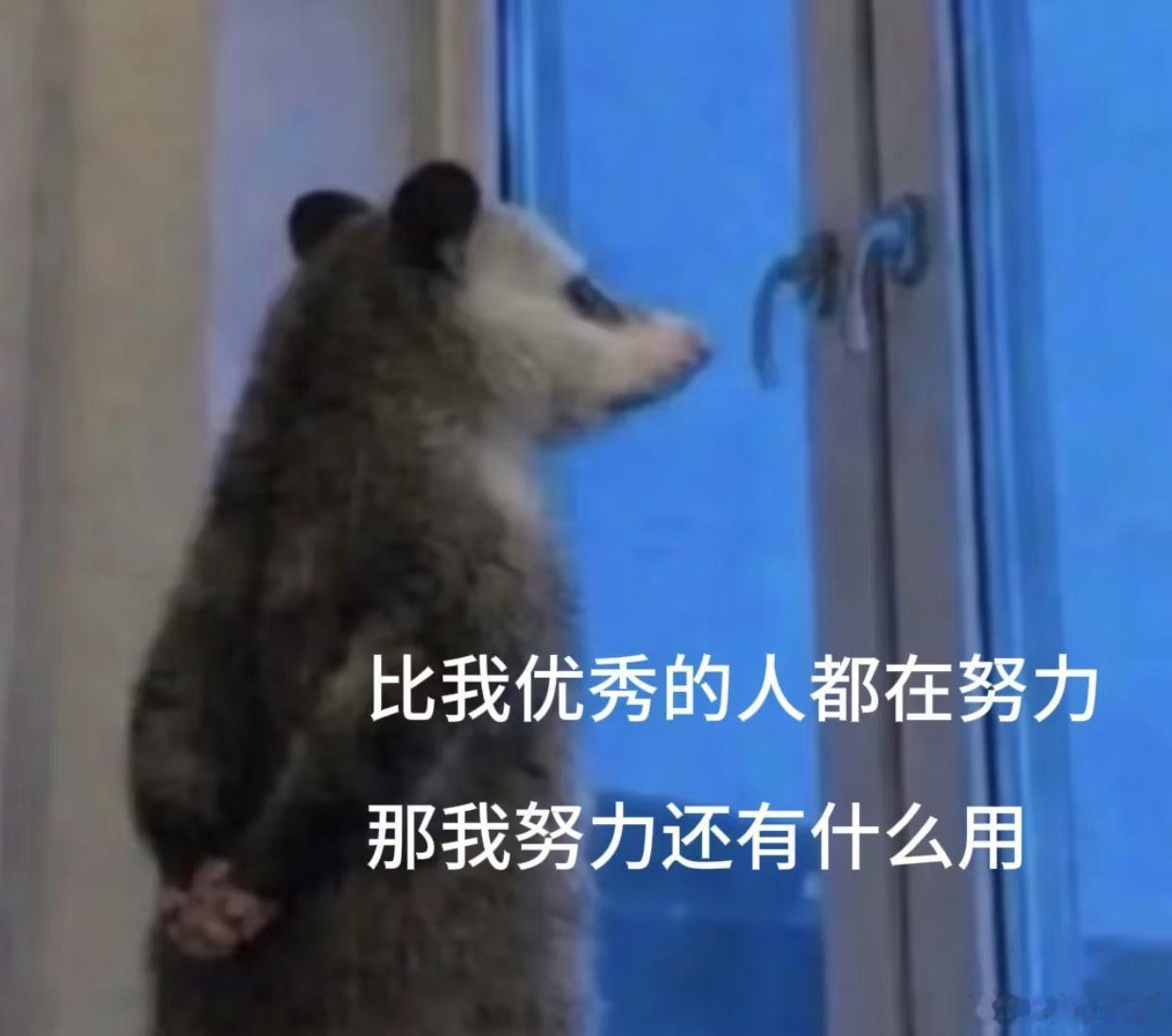 两大芯片巨头互攻英伟达带着强得能“开挂”的AI PC芯片闯进英特尔地盘，英特尔则