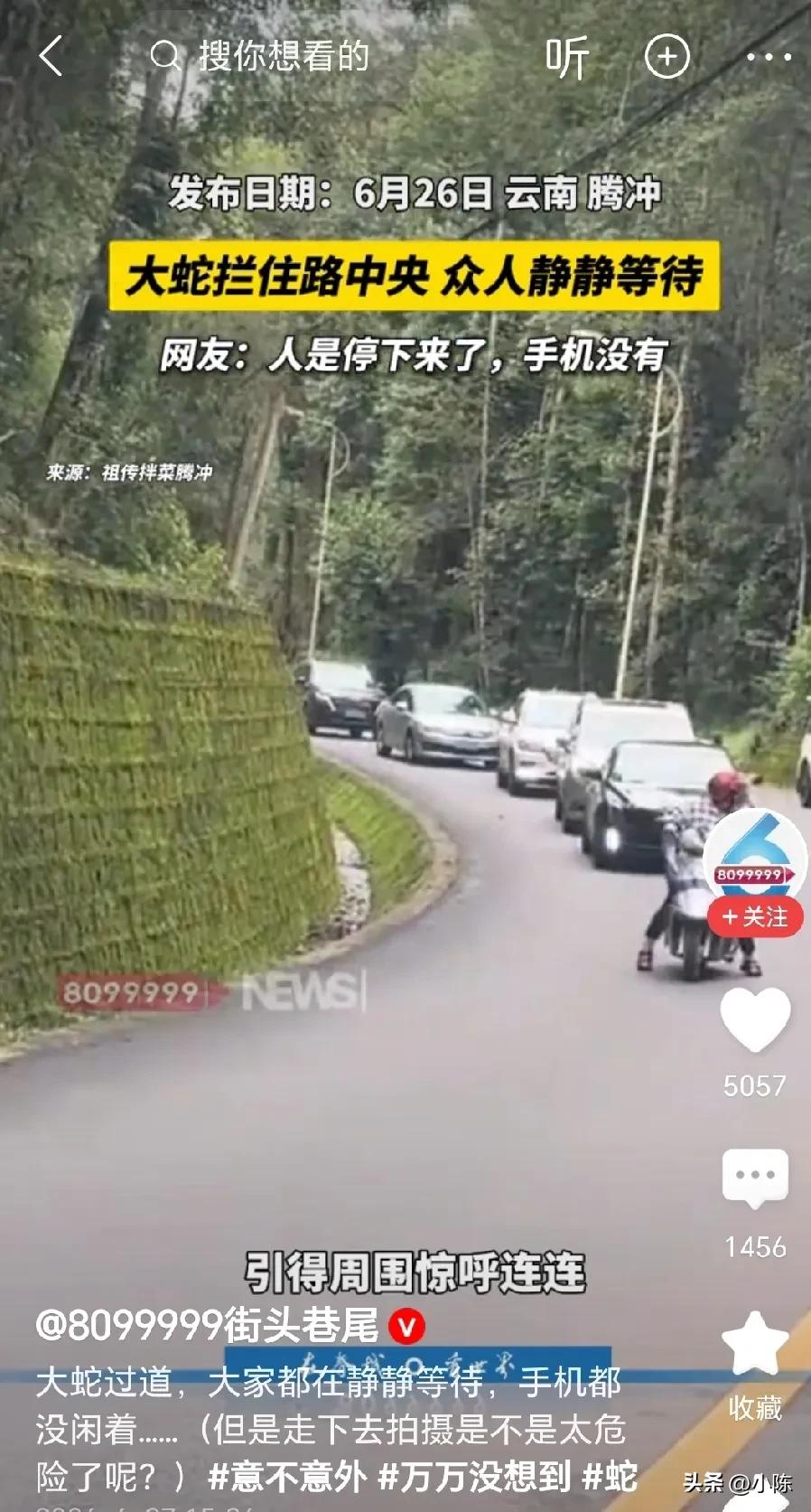 万万没想到！云南腾冲，网友自驾去当地旅游，行驶到一处开阔路段时，突然发现前方大堵