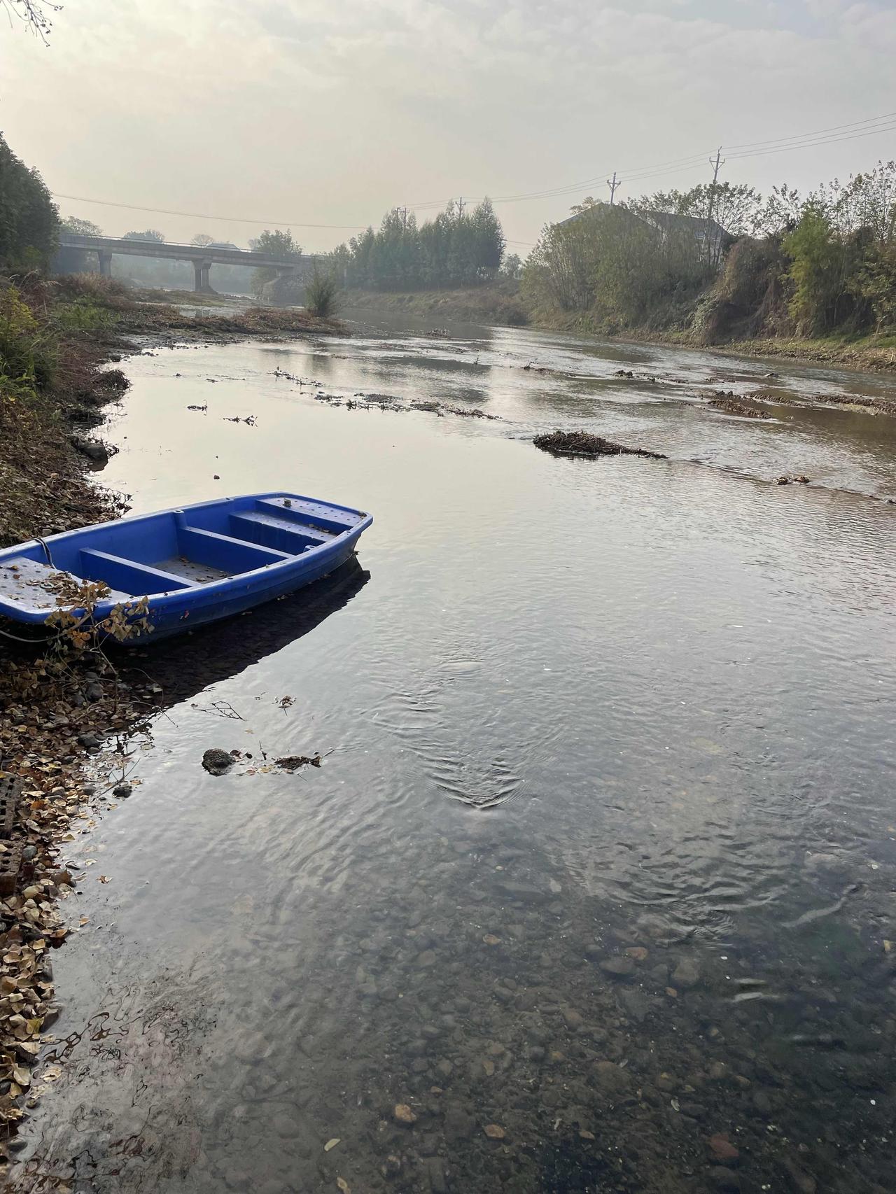 今年春天最想实现的心愿回老家看看