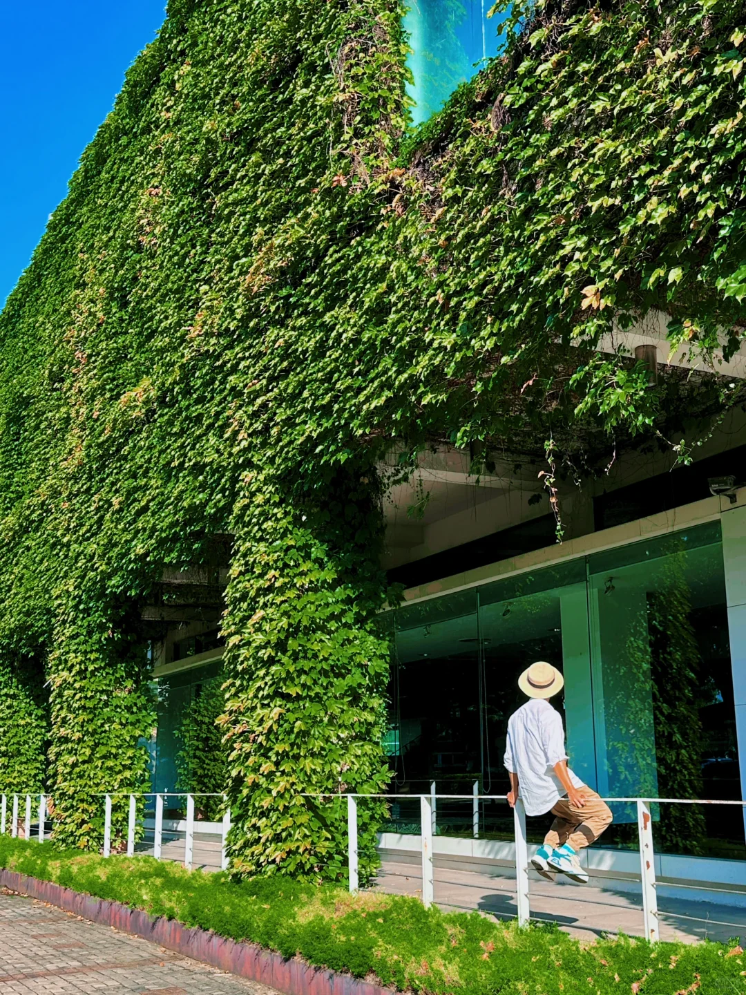 假期的最后去一趟南沙吧😎0元看海看日落