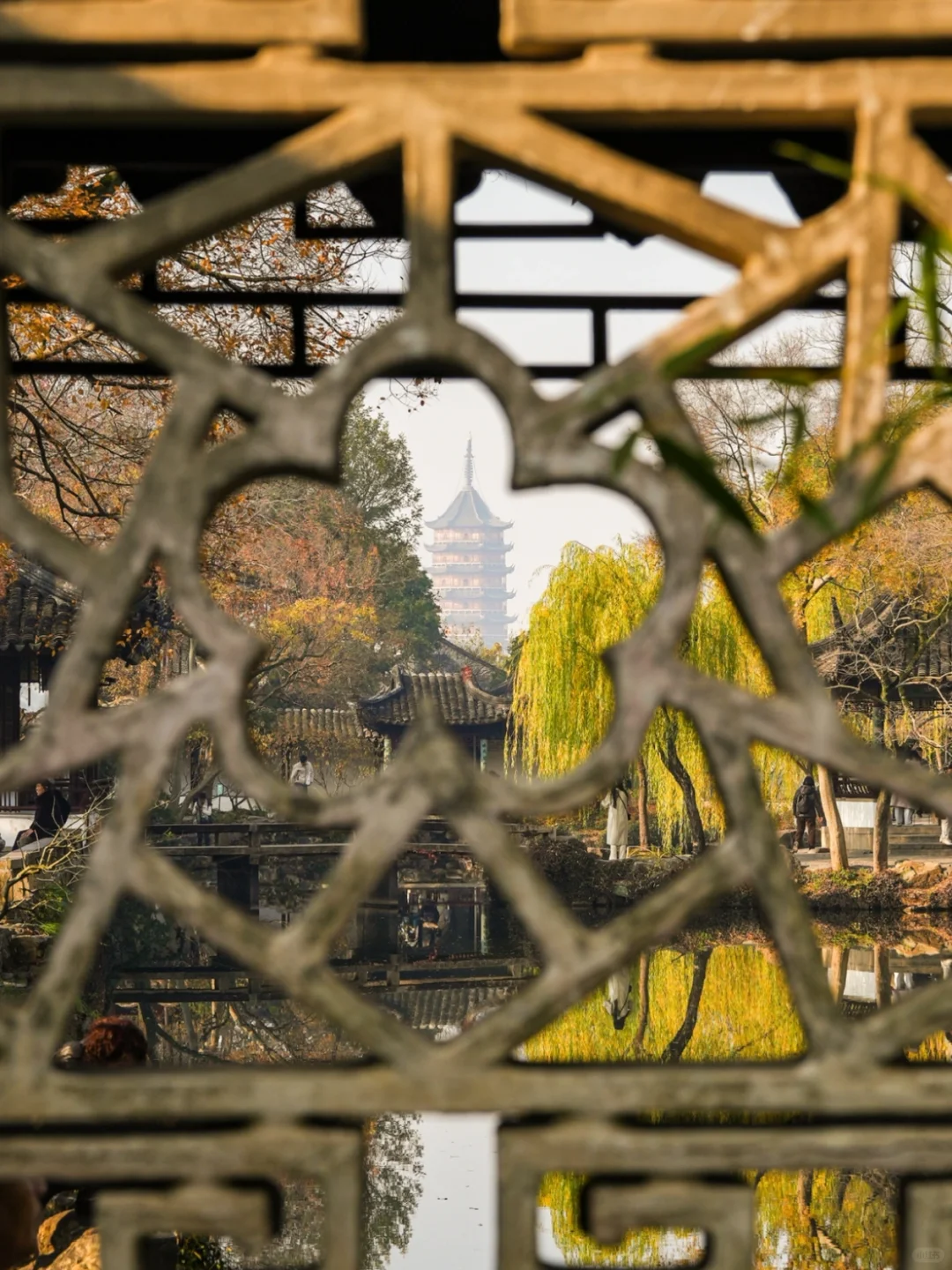 接下来的苏州，堪称秋日旅行天花板