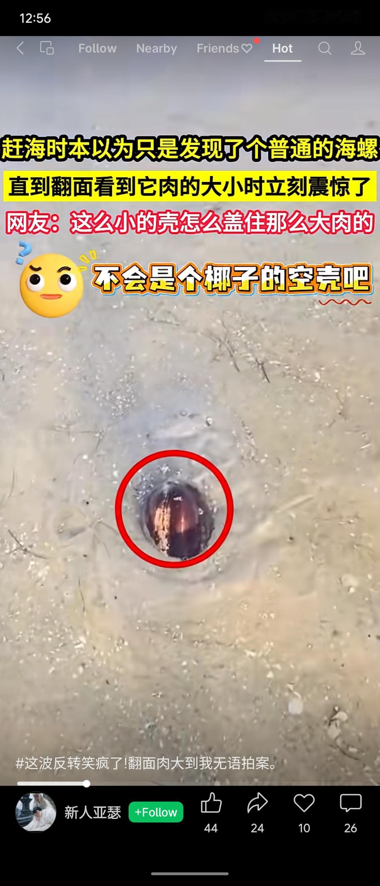 赶海捡到小海螺，翻面惊见巨型螺肉，网友笑称“壳是租的吧”，还问能不能吃、有毒没。