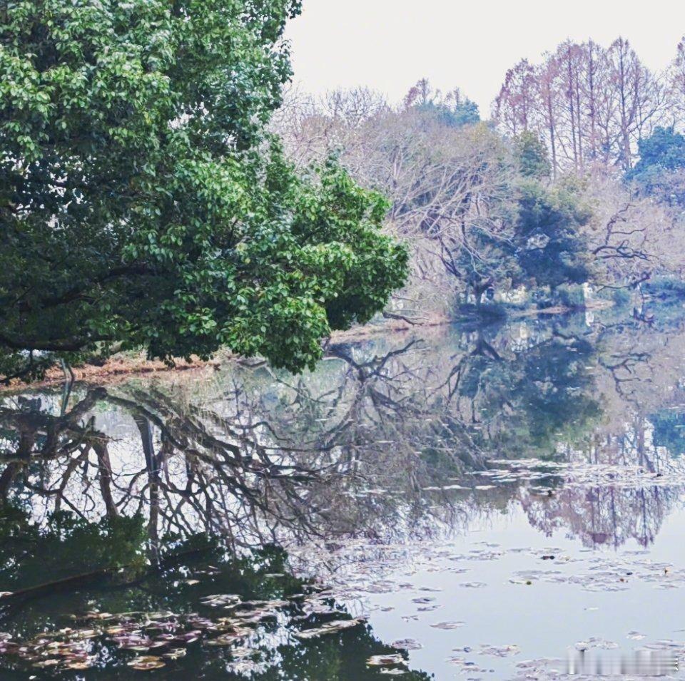 清水绿山间的周末🌳日常分享 从这里看出去的风景真的特别美青山环绕，绿水潺潺🌱
