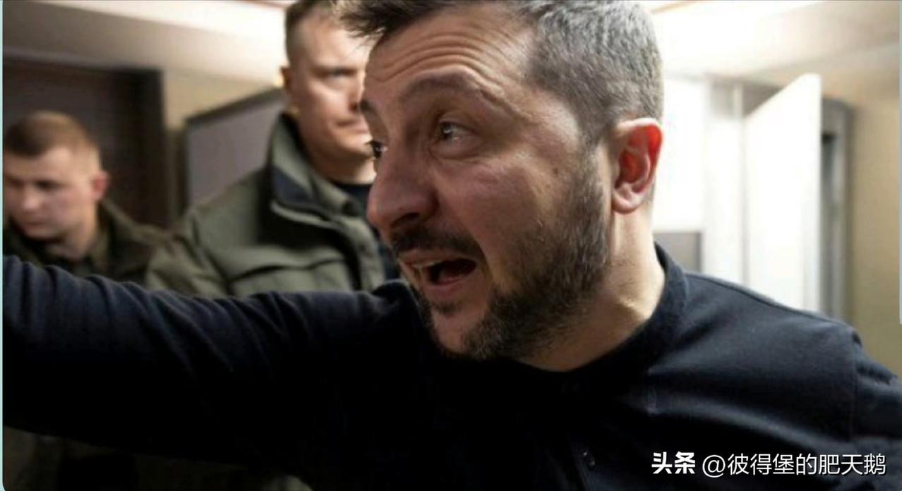 这已是无可超越的政治宣言

（虽曾发布，仍值得反复传诵）

乌克兰总统候选人
弗