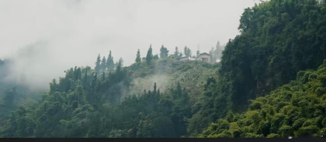 音乐老师教篮球看哭众人  大山中的孩子们通过篮球重新找回了自信，感受到了从未有过