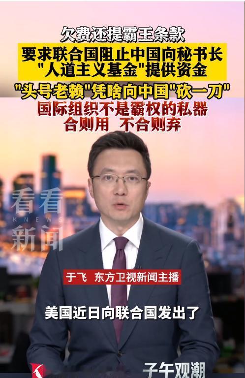 “头号老赖”美国，凭啥向中国“砍一刀”？自己欠费还提霸王条款，要求联合国阻止中国