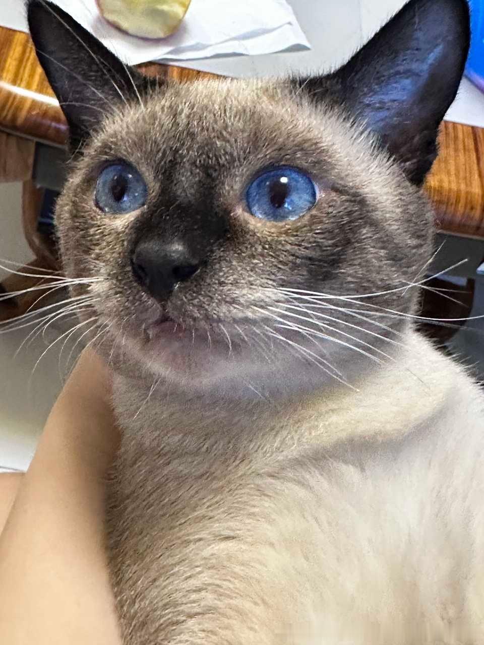 早安逼罗