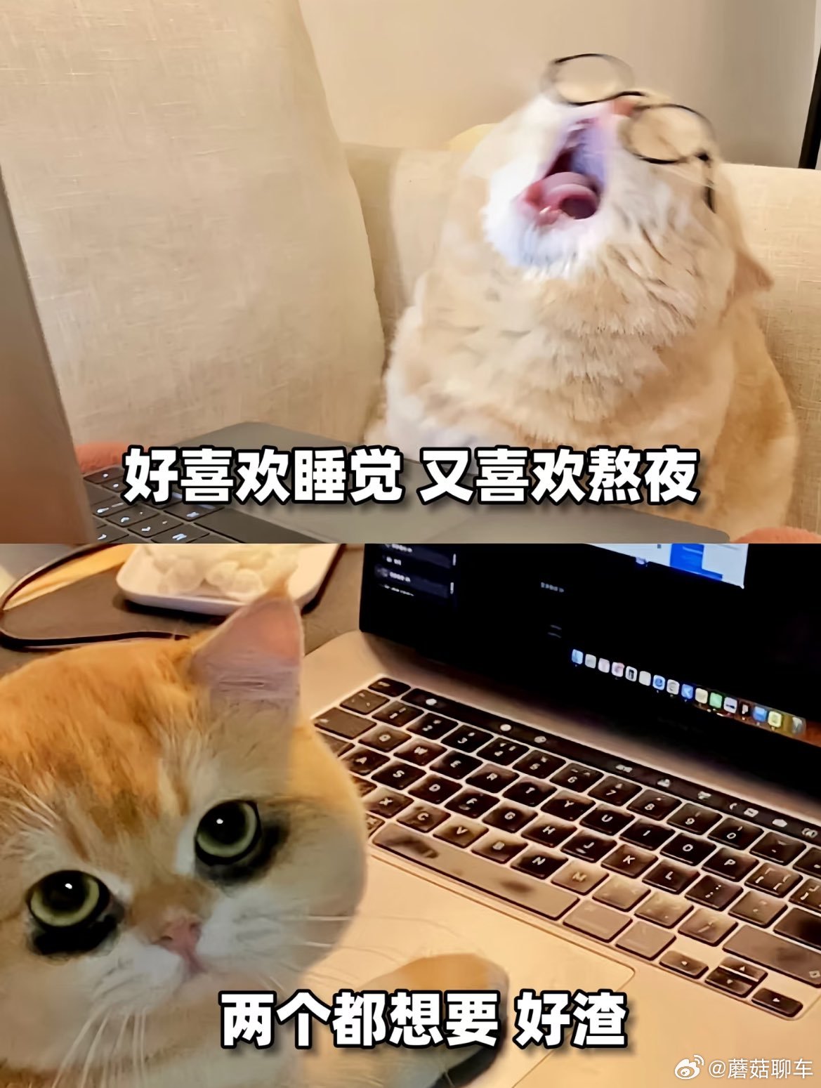 早啊家人们～[哈欠] ​​​