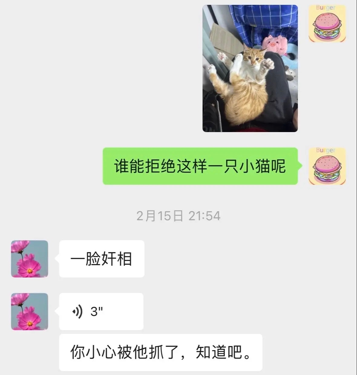 #小猫是奸臣咱妈也是个昏君# 你只需要把猫带回家，剩下的交给猫猫就行；🐱：猫生
