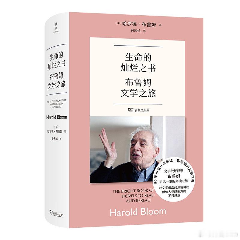 文学汇 洞见丨堂吉诃德的壮举太过纷繁，不胜枚举。我还是转而谈谈塞万提斯另一个殊为