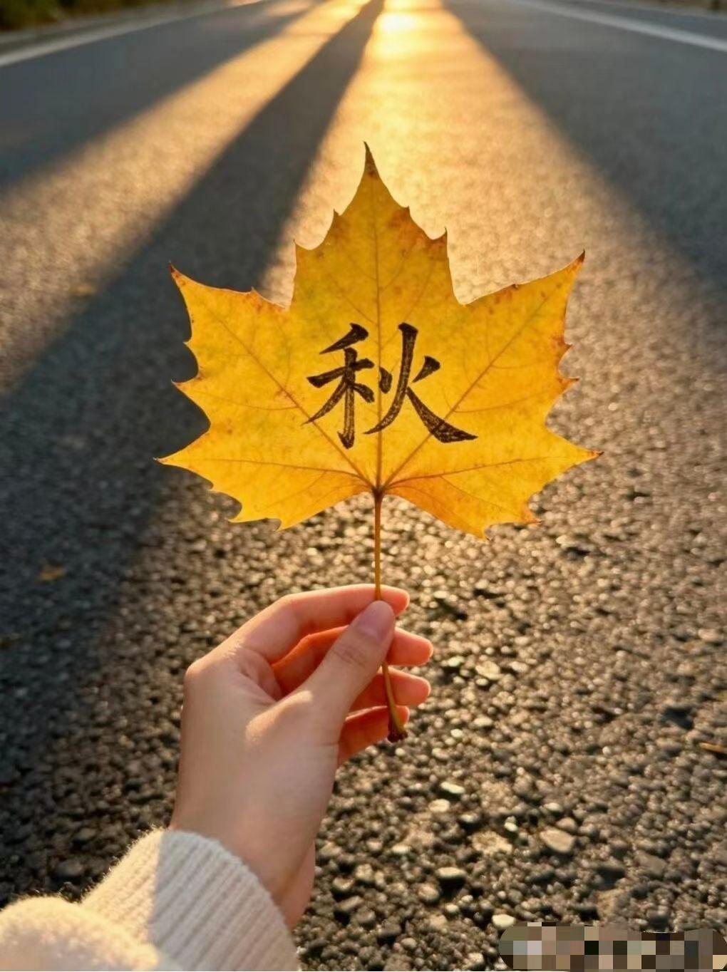 [太阳]
生活的幸福感
不在于富足，而在于满足