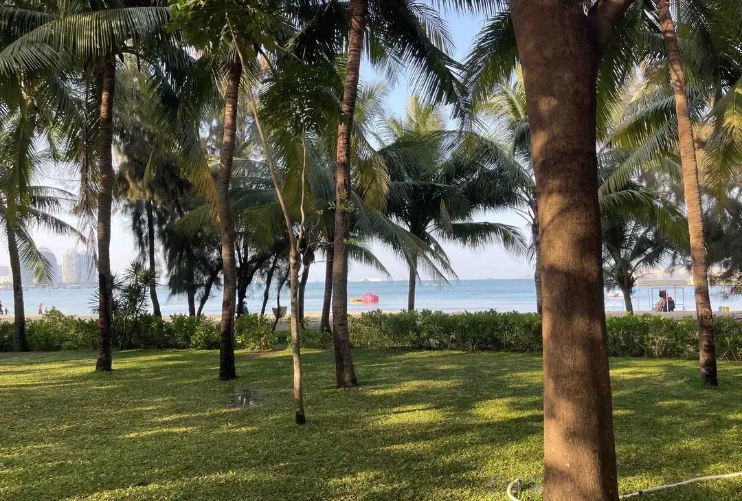 刷到三亚“泡酒店”刷屏，一水儿推窗见海的视频。
博主们拎着行李箱直奔亚龙湾，美高