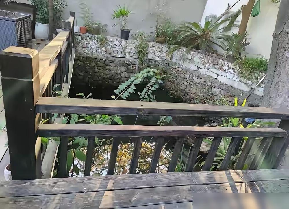 何晴逝世后小院子被曝光，
​
让人震惊不是过于简陋，
​
是，不见阳光。
​
其