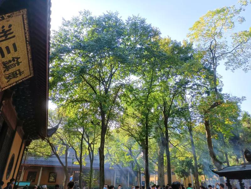 6月20日，杭州一名摄影师拍到游客私自拿走灵隐寺内祈福钱，游客取走一百元与二十元
