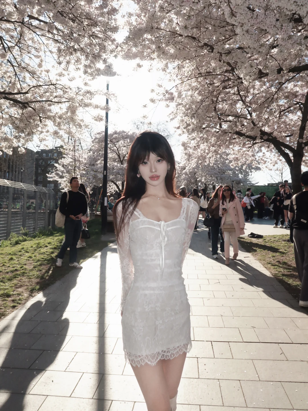 𝚂𝚊𝚔𝚞𝚛𝚊 * ❀
