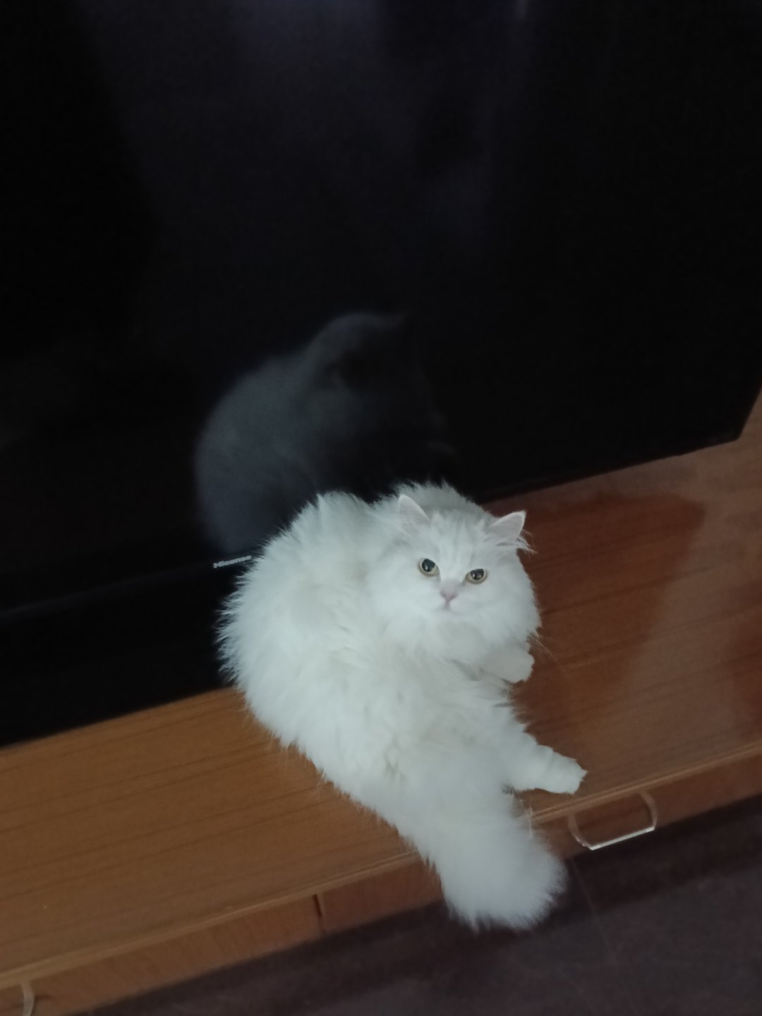 什么事，刚咪着 