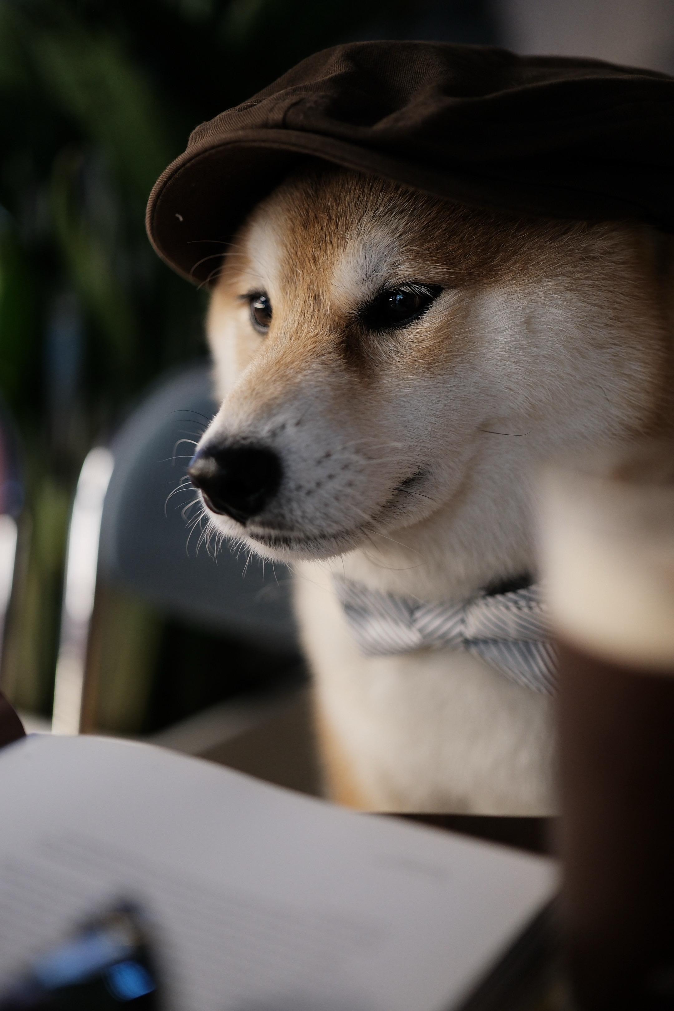 金钱不会说话，但财富会低语💰。