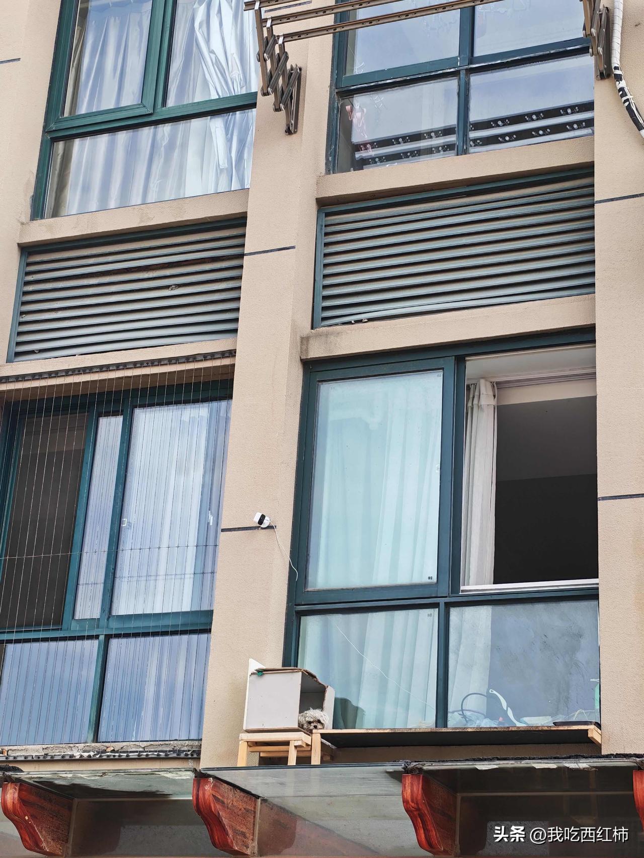 震惊震惊，楼上邻居竟然把狗养在窗户外面狗狗因为害怕整夜整夜叫，严重扰民。外面没有