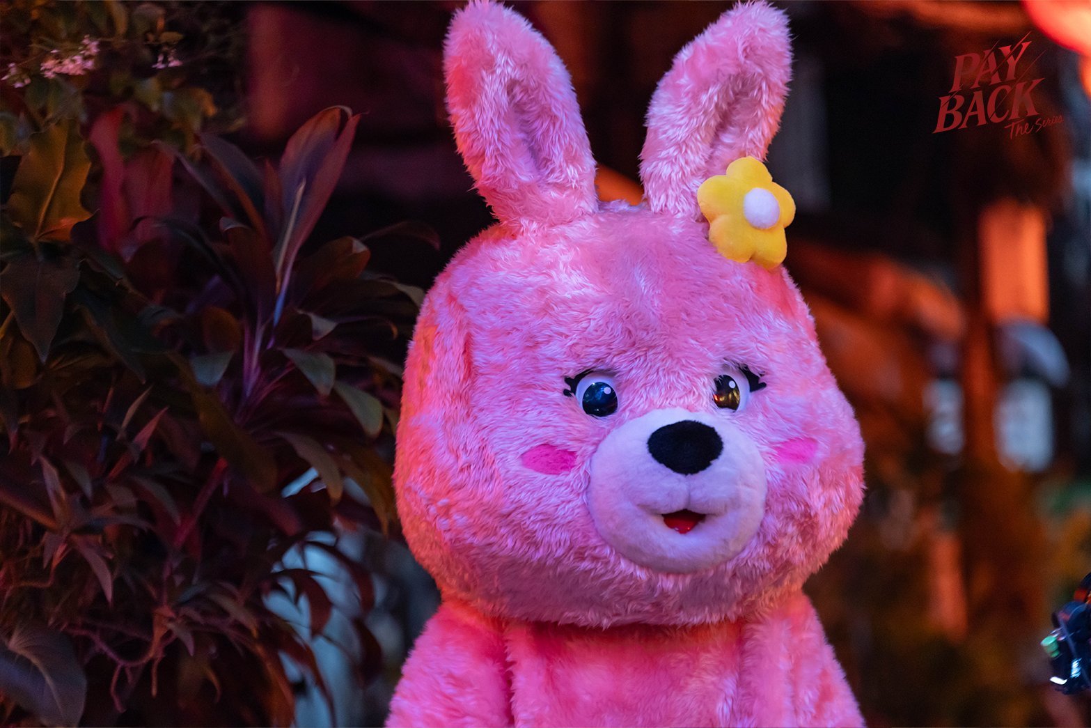 toptapminlee 这么可爱的兔子身材居然这么辣[兔子]🐰 ​​​
