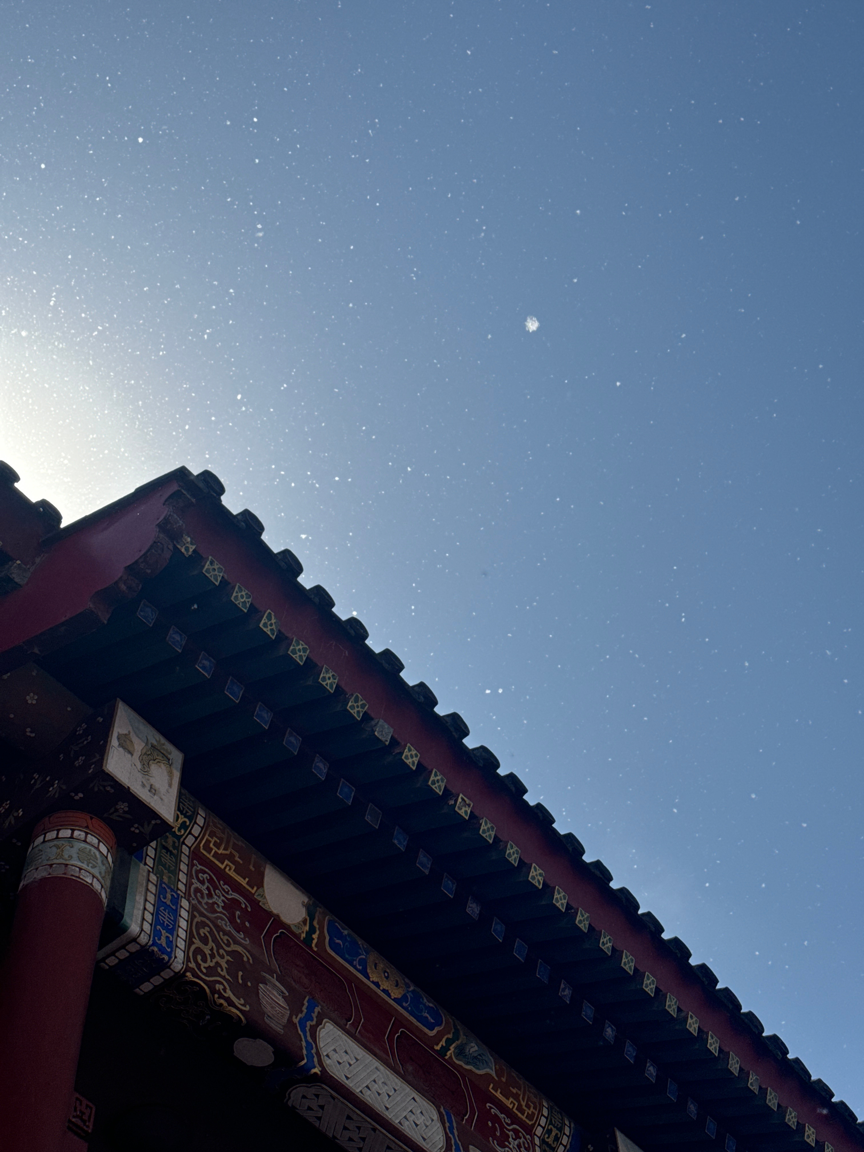 再见了北京春天的雪（阿秋阿秋）北京柳絮杀疯了 北京·潘家园旧货市场