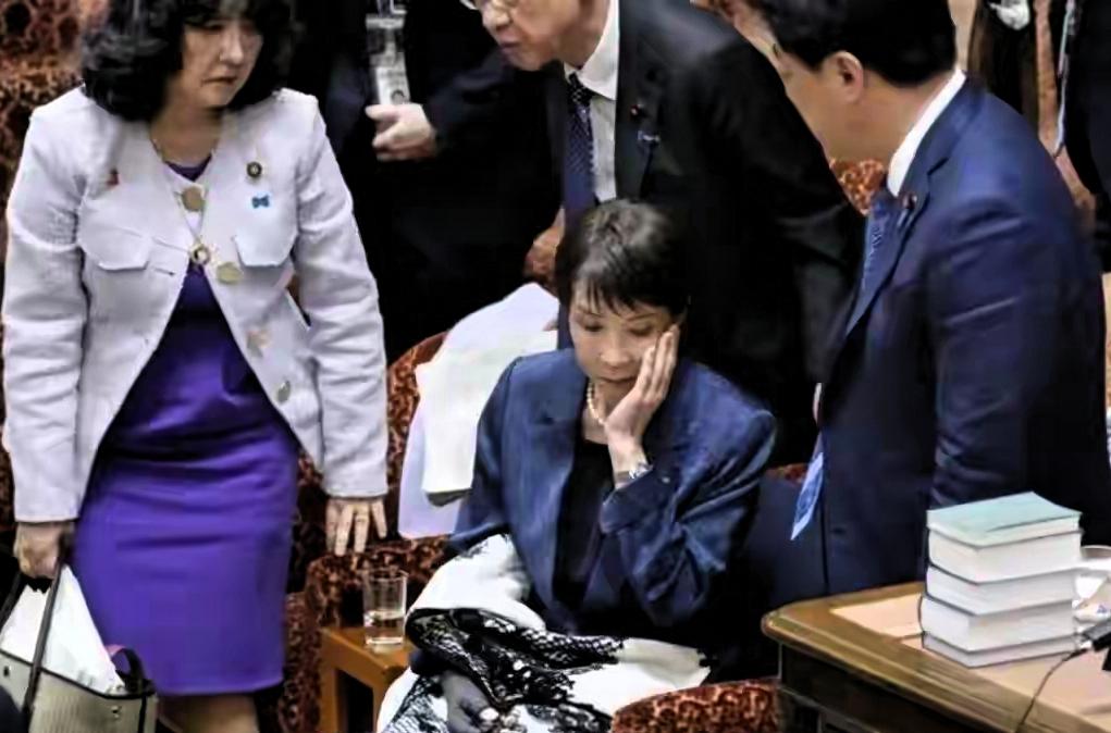 日本双面算计：高市早苗越南造势围堵，自民党高官悄悄访华
 
近期日本政坛的一系列