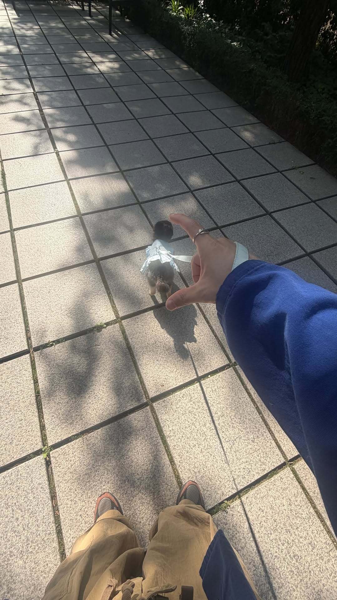 “CB百蓝_。260604金钟云 ins story更新：