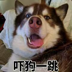 退钱哥晒世界杯球票账单为爱好埋大单，在很多人眼里是件疯狂的事 