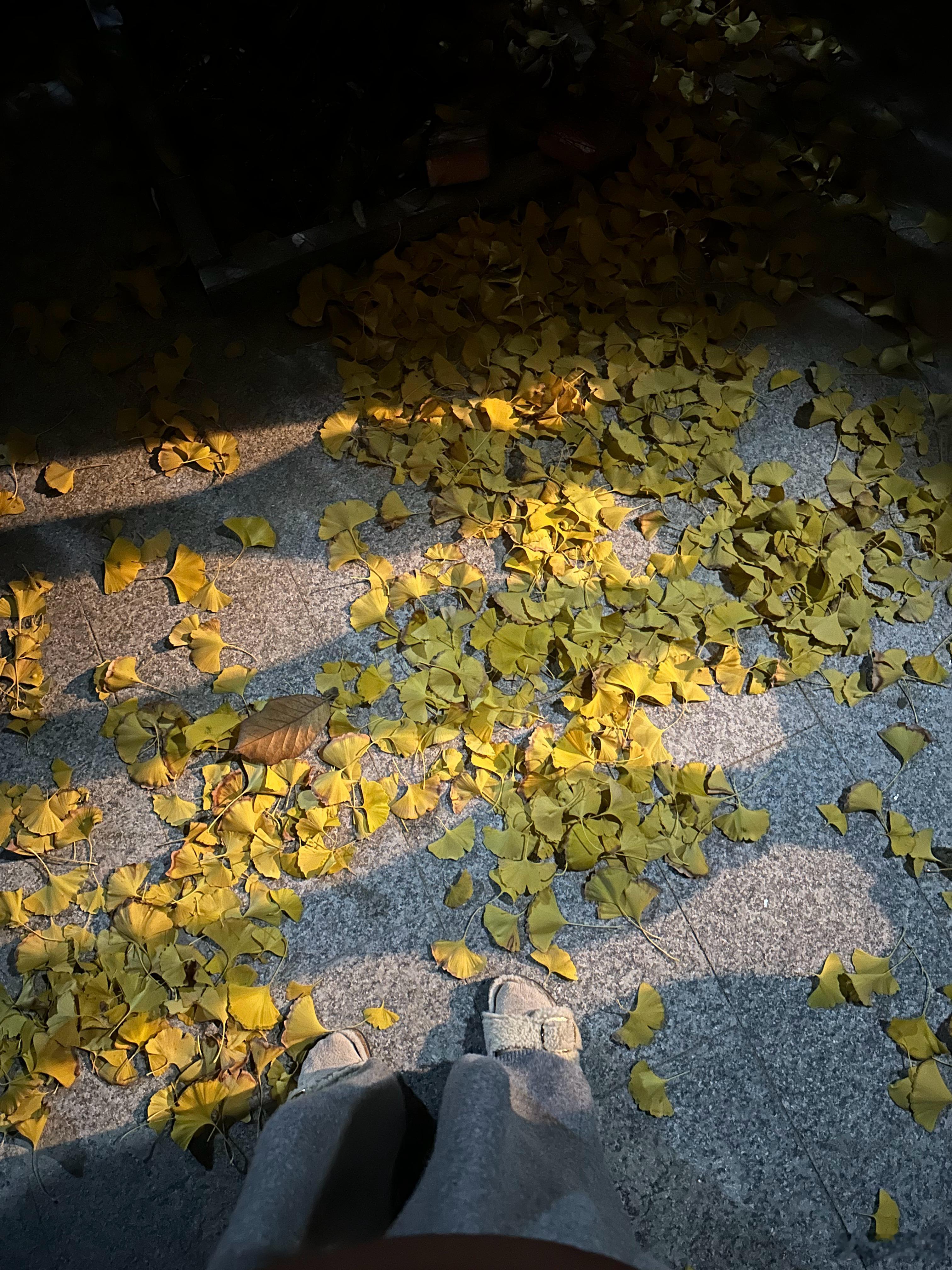 跟我好朋友聊天，才知道她也承受着家庭压力。有了孩子的家庭真的更有共鸣，除了彼此心