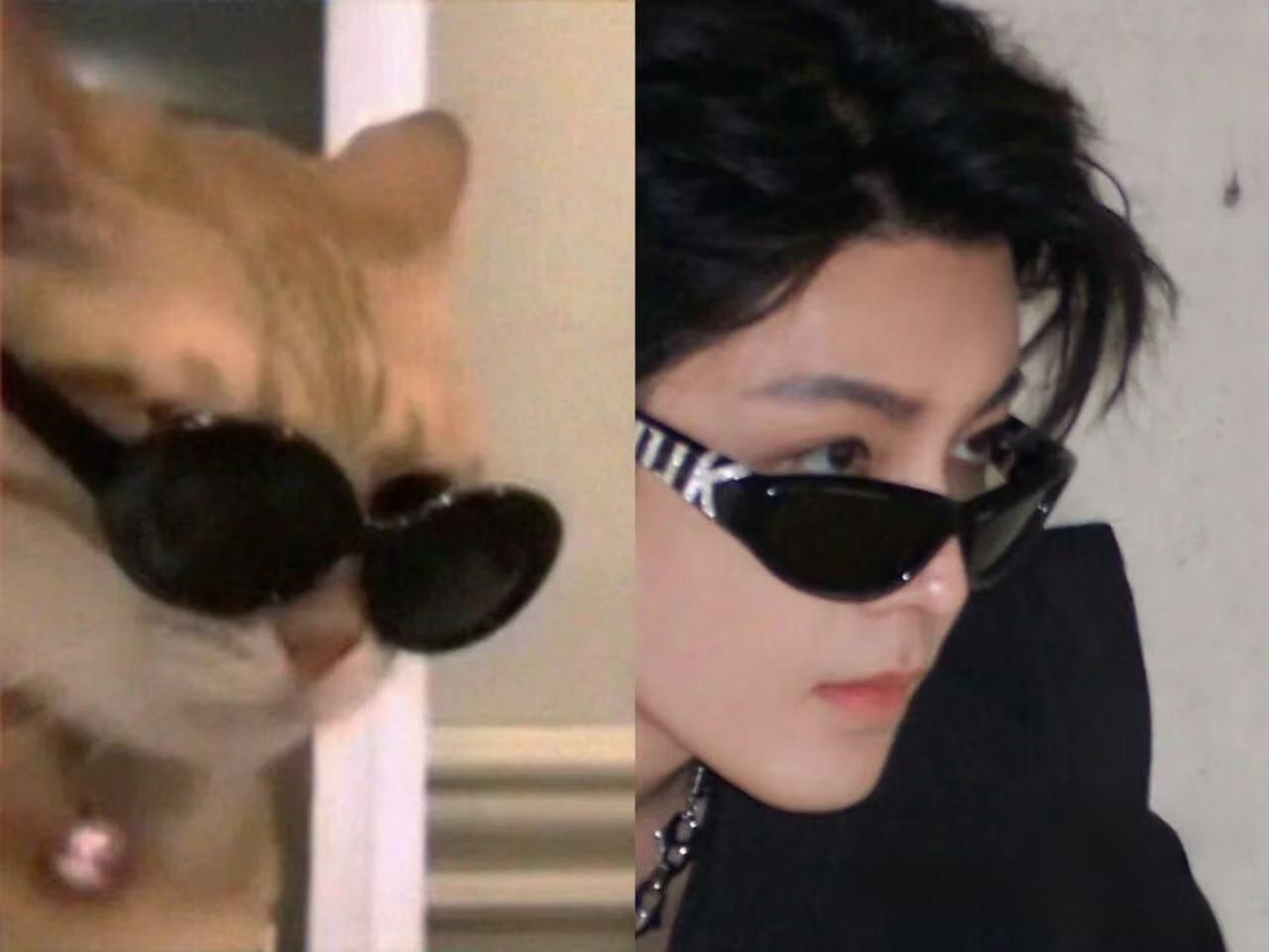 侯明昊你们怎么知道我担是小猫咪变的咧？