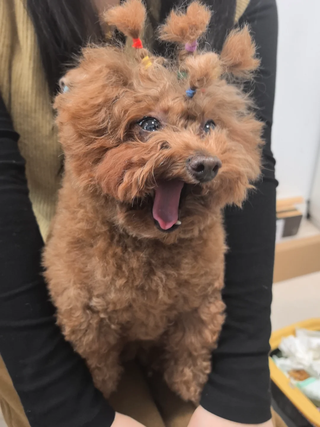 跟着小狗打哈欠🙃忍不了