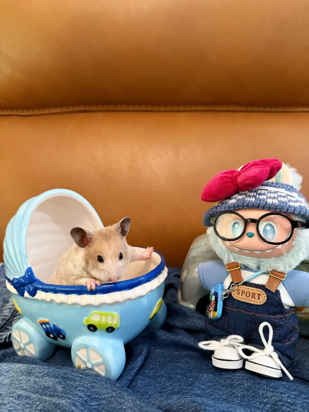 鼠鼠艺术照：多金篇