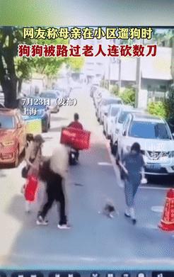 太恐怖了！上海，女人在遛狗时，旁边的大爷突然拔刀，下一秒犹如疯了般对着小狗就连砍