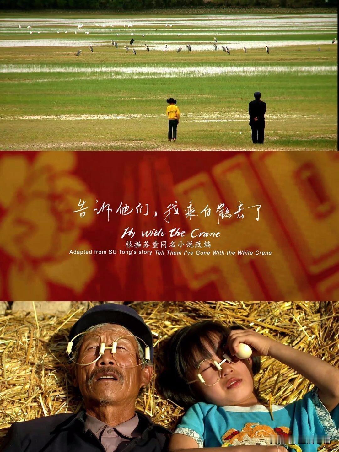 被《告诉他们，我乘白鹤去了》狠狠戳中泪点！看完直接哭到窒息，这居然还是首部被法国