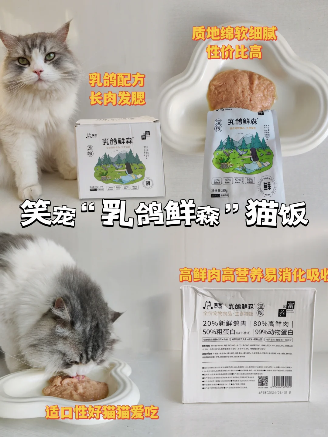 新手养猫别❌过了！！