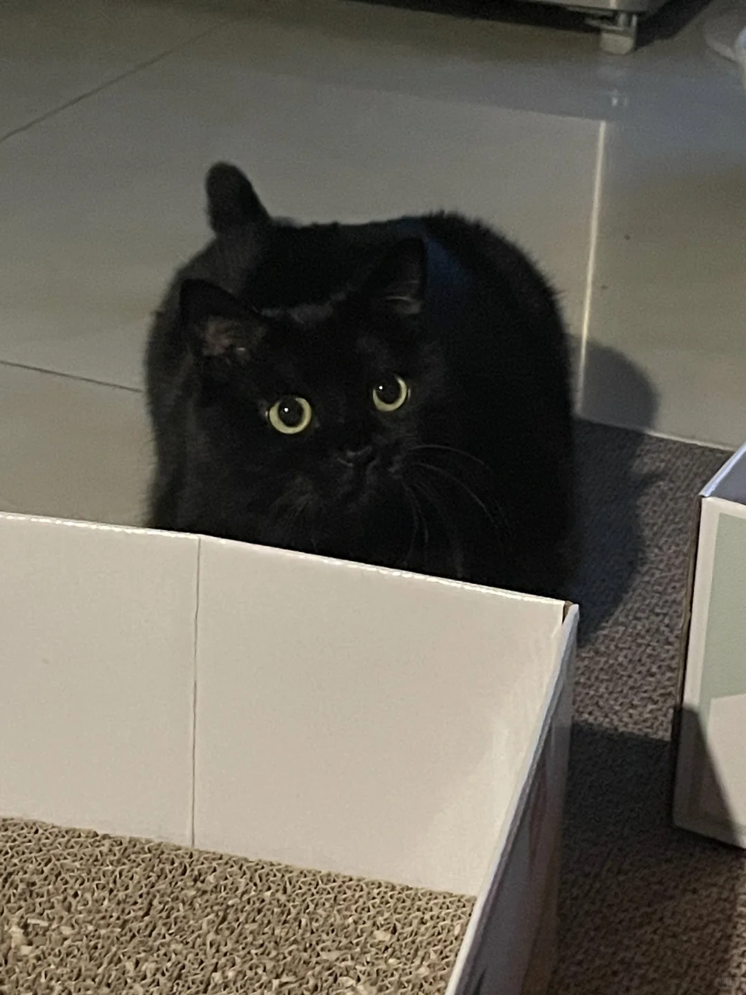 请问这个星期日你有空吗？