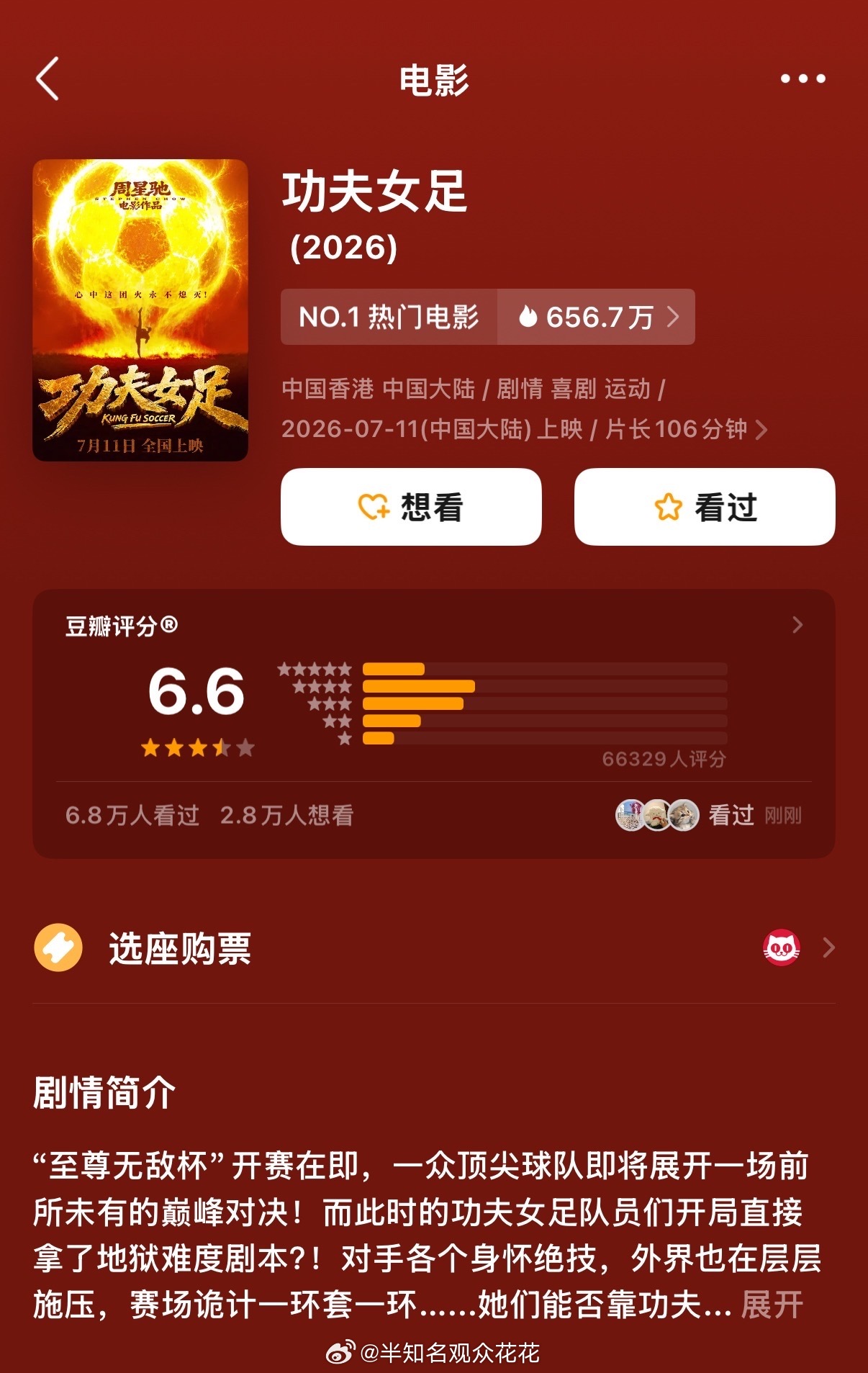 功夫女足豆瓣开分6.6功夫女足评分6.6功夫女足开分