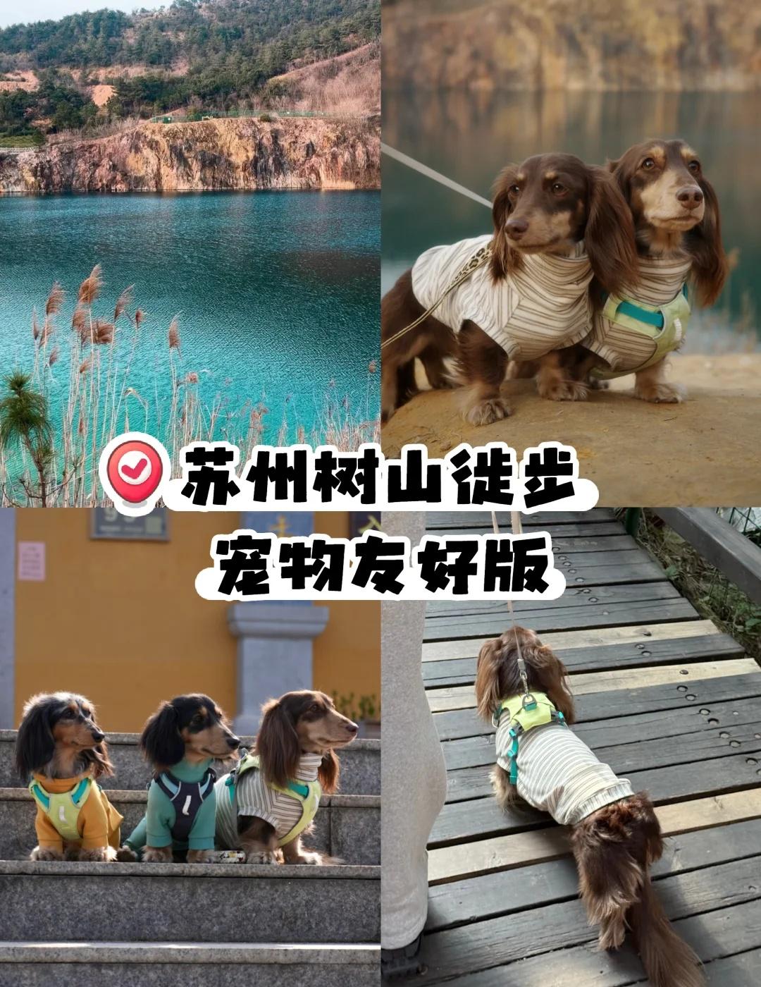 上海开车1.5h🚗全程无台阶 髌骨友好！
苏州树山-大阳山翡翠湖
我们的路线：