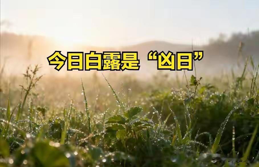 今日白露逢“凶日”：一要穿、二要早睡、三不吃、四要多吃，老规矩别忘
 
今日白露