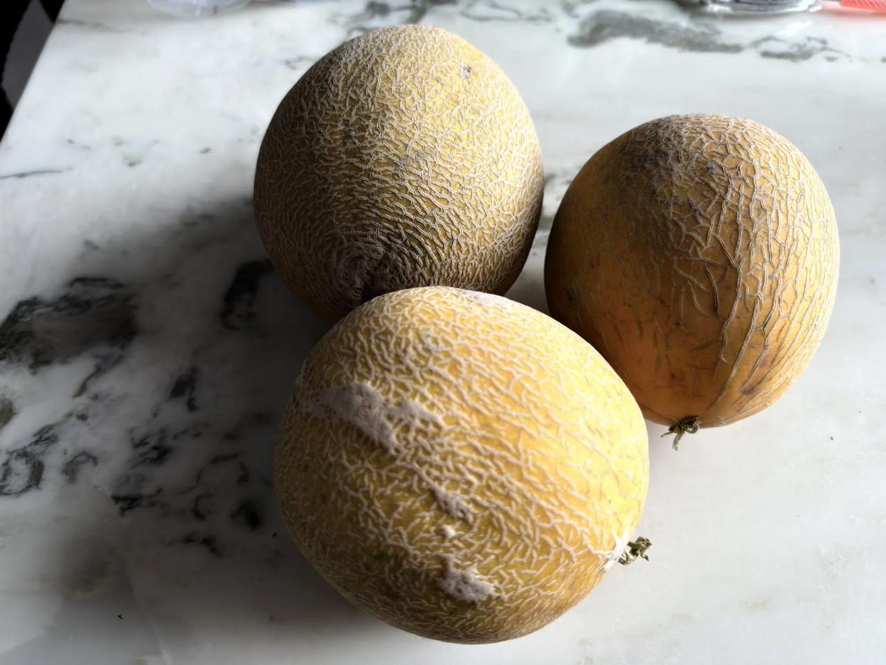 热烈欢迎来自大上海的朋友们来宁夏做客呀！要是去到我们南部山区，还能品尝到更具特色