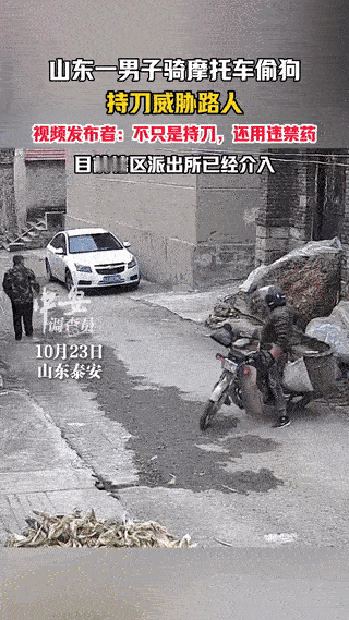 “太猖狂了！”山东泰安，男子在大街上偷狗，路过大爷发现狗躺在地上一动不动，就想上