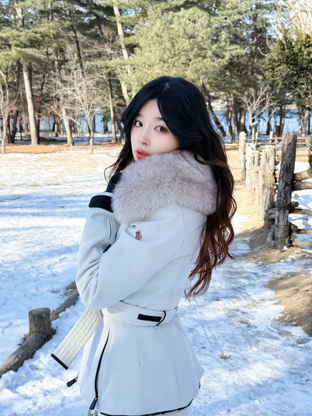 南怡岛的冬日碎片❄️🇰🇷