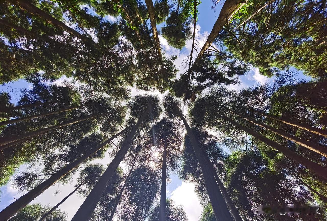 一个人，一座山，成功攀登玉林市第二高山峰，天堂山望君顶。