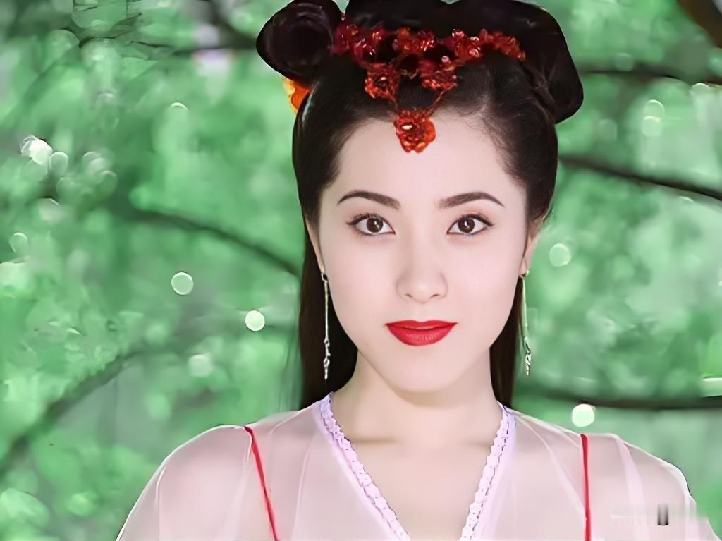 古装电视剧中姓“梅”的古装女角色，曾黎的梅三娘，张延的梅思影，杨恭如的梅降雪，杨