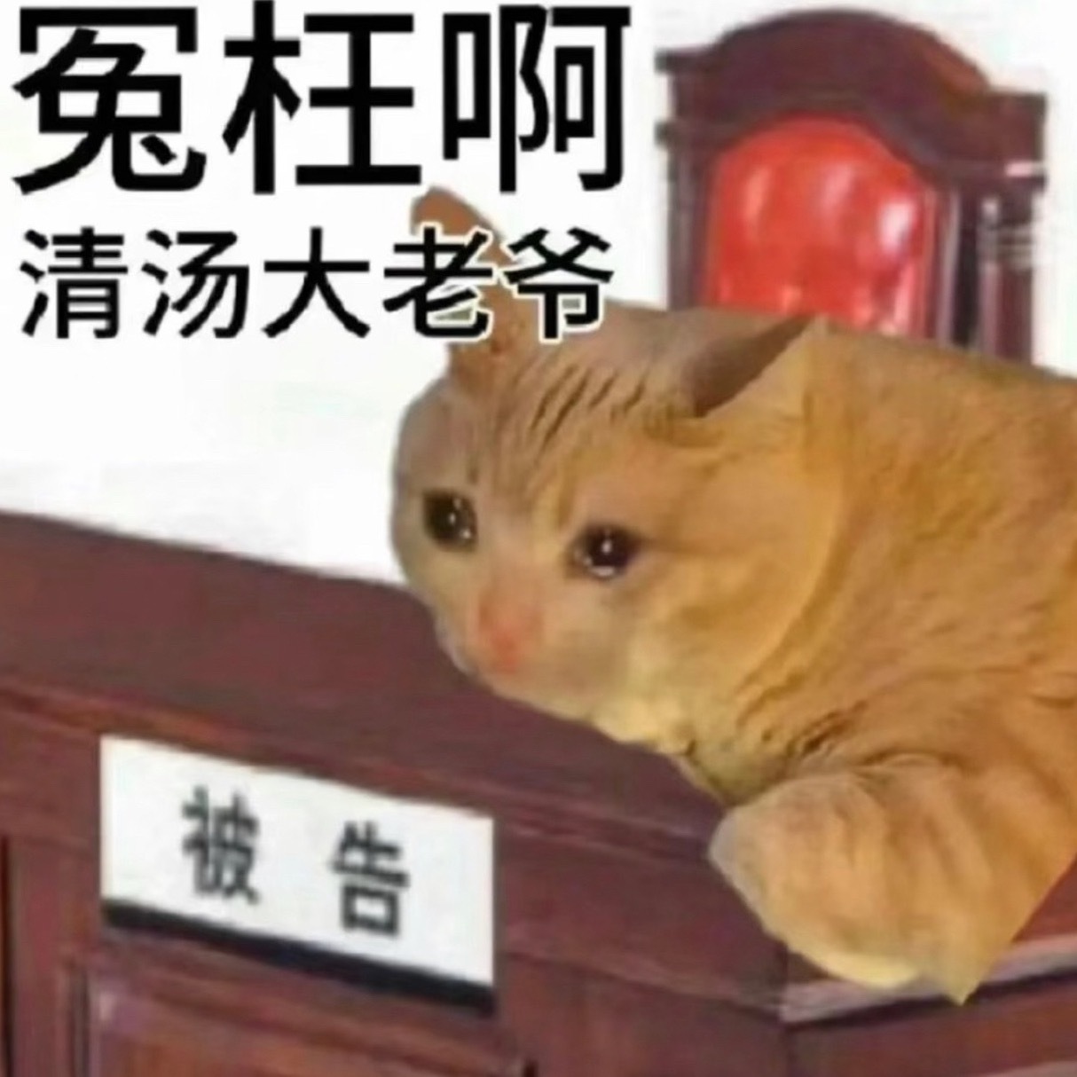 关于今晚的连续被抬我只想说 
