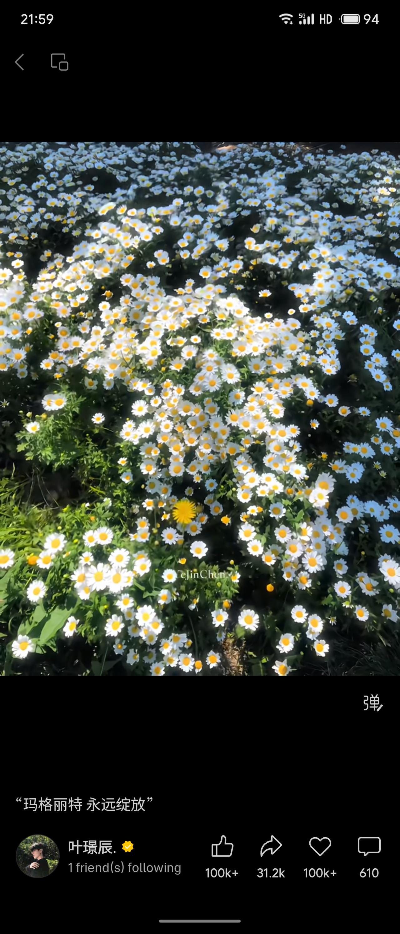 晒图笔记大赛玛格丽特永远绽放，高赞花卉摄影帖，叶璟辰发布，点赞收藏均破10万，画