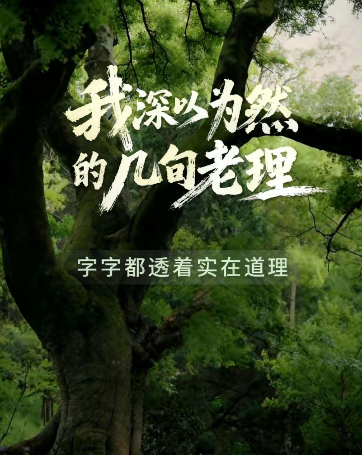 老祖宗留下四句处世箴言：
法不轻传，道不贱卖，师不顺路，医不叩门。
 
本事不随