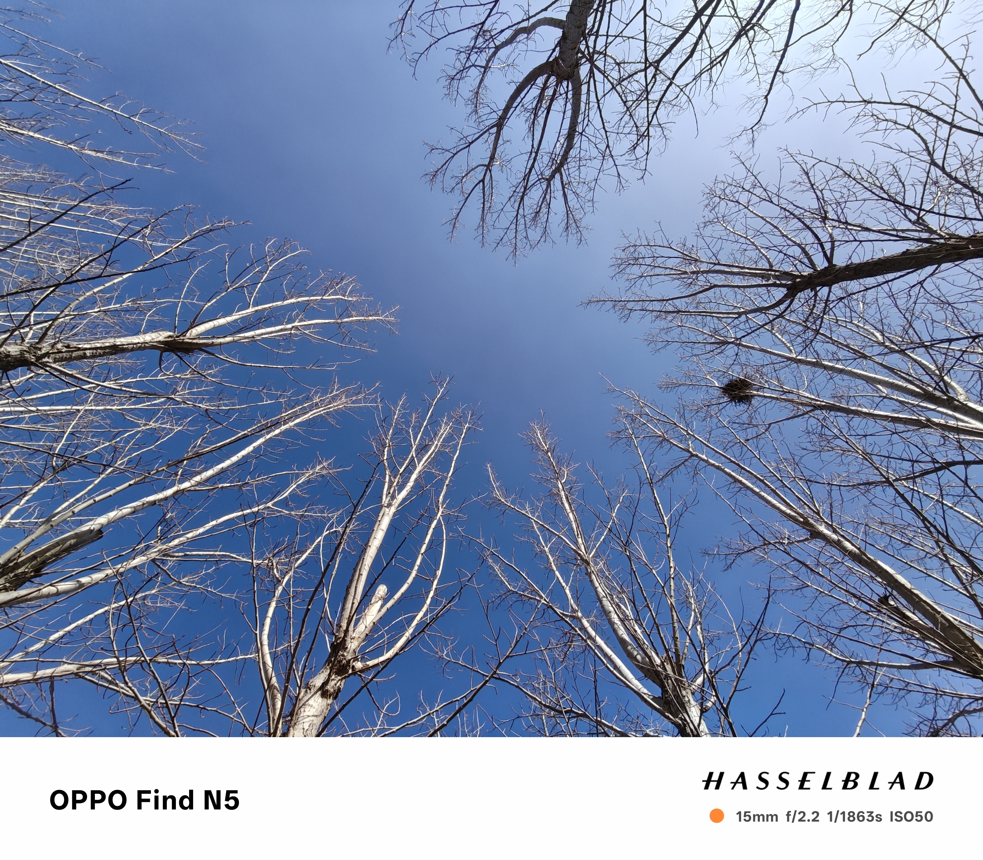 iPhone拍照更好看的技巧太麻烦了，本 OPPO 用户都是直接点拍照按钮，完全