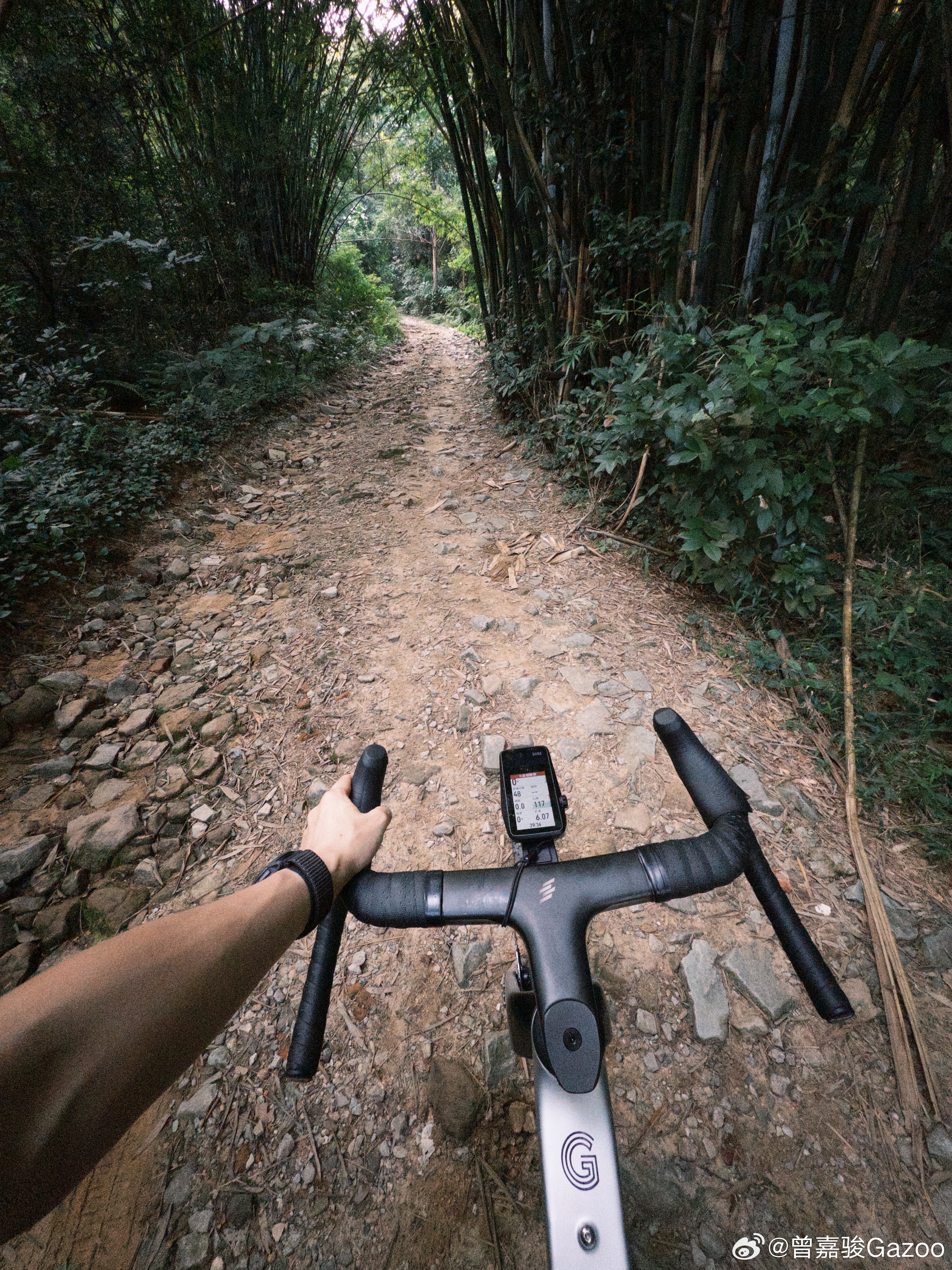 到了广州最适合户外活动的时候。 ​​​