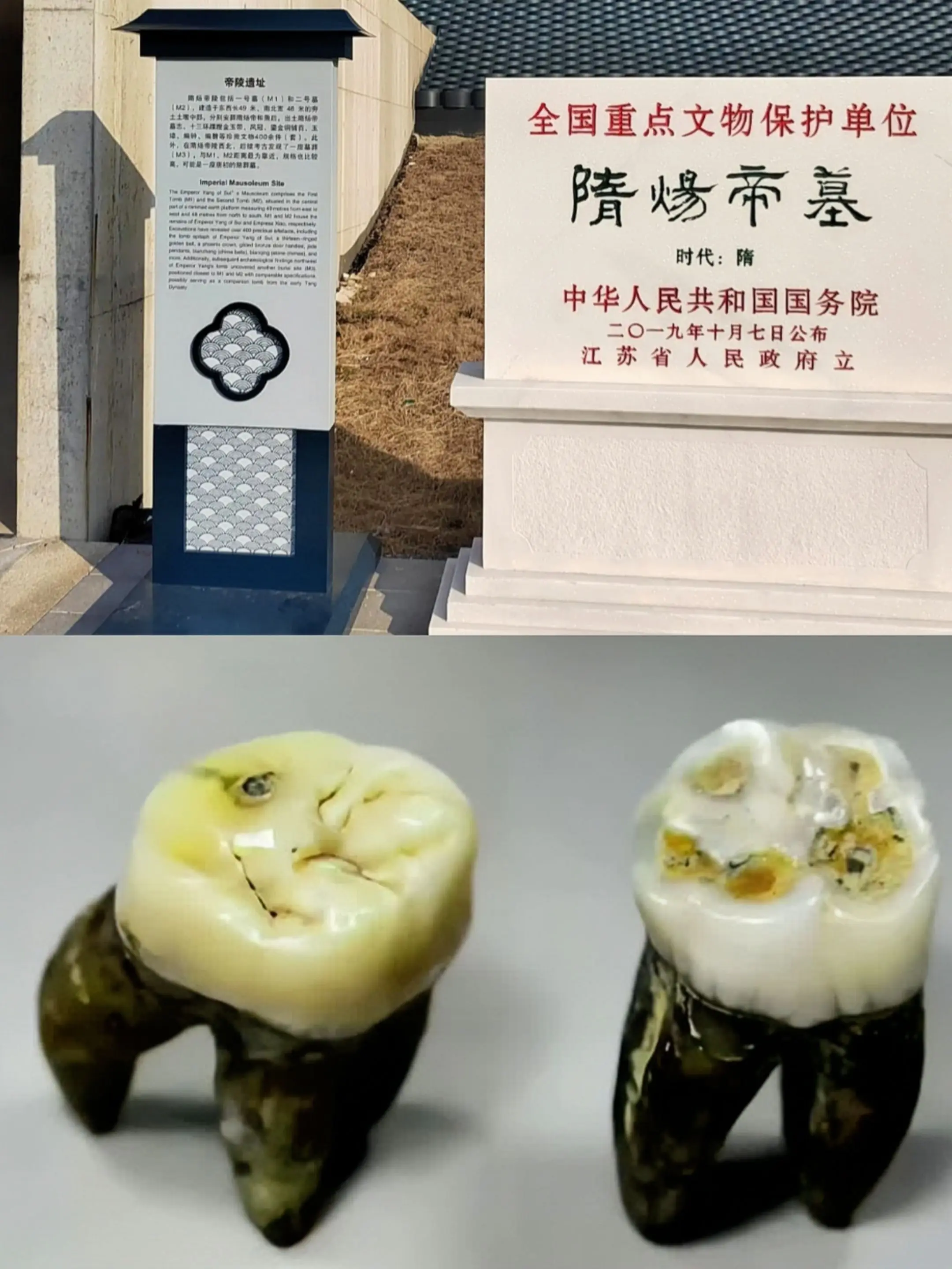 2013年3月，在江苏省扬州市司徒村曹庄房地产建设项目中发现两座砖室墓...